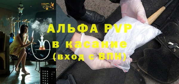 индика Алзамай