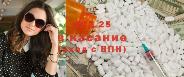 гидра Абаза