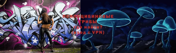 гидра Абаза