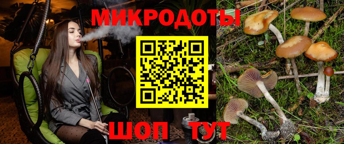 Тула  Галлюциногенные грибы MAGIC MUSHROOMS  Вход с VPN 